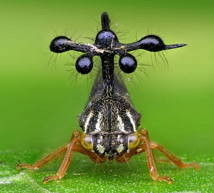 fb92575b17a3c7aba33f2d74db