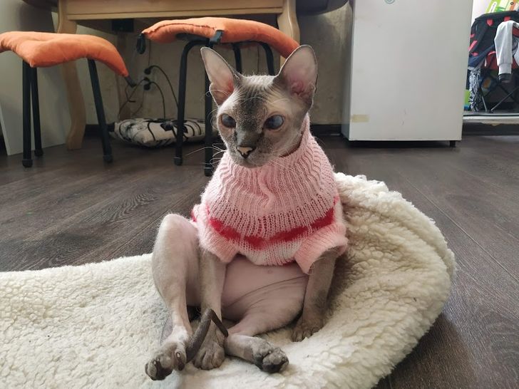 fba0165f75a4a8b8ea752618e8