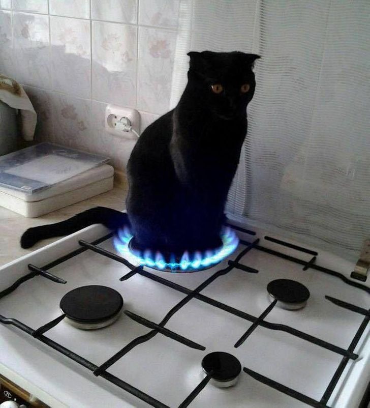 fba9945f68ba494822384f8525