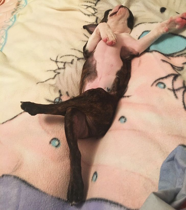 fbae7453bdb11a03f253db3351