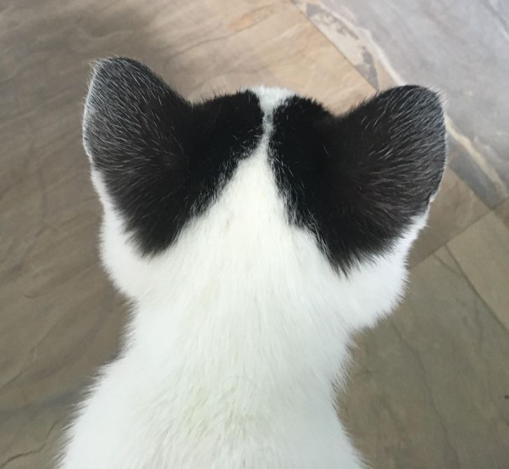 fbc2a05ed7b8c3cab00ca0d295