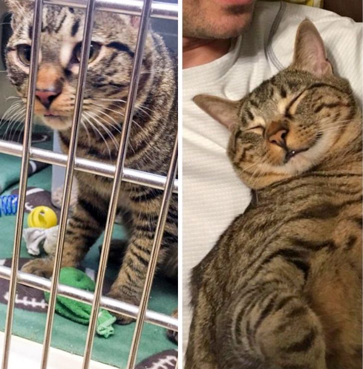 fbc722568a8f0f1a1af738ba0d fbc722568a8f0f1a1af738ba0d