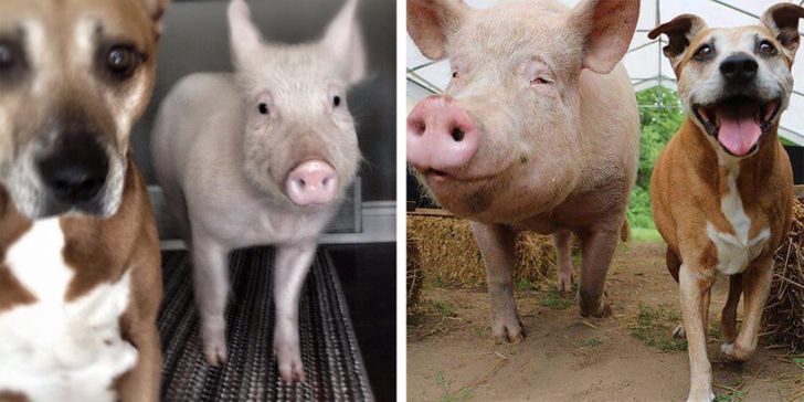 fbd22a56cf9482159045518ebc