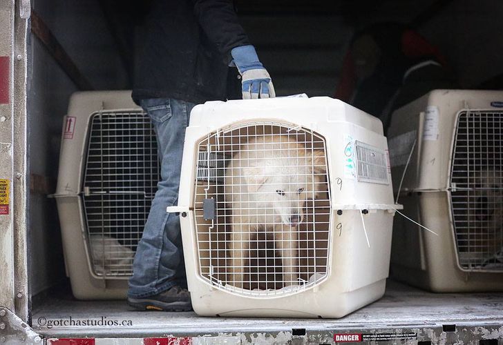 fbd39f5914b34b1a2884061cb9