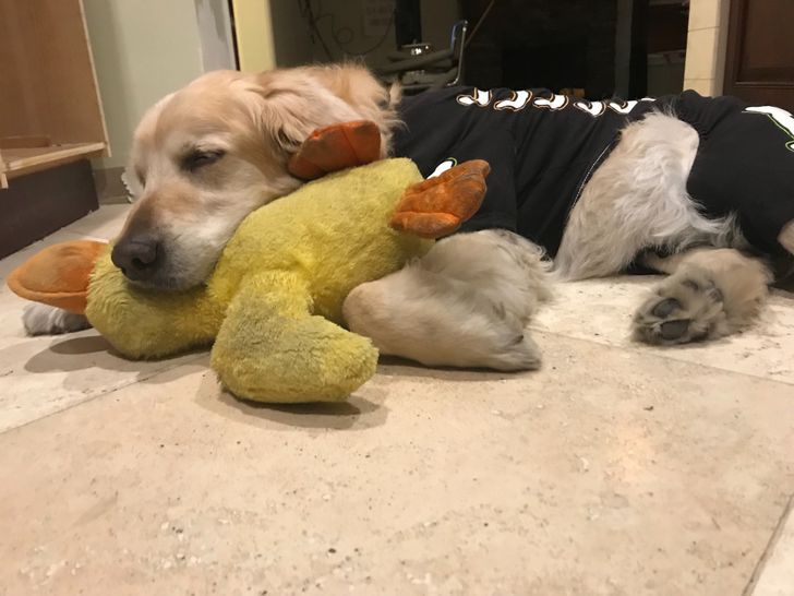 fbd6dc5a459a690721301743f6