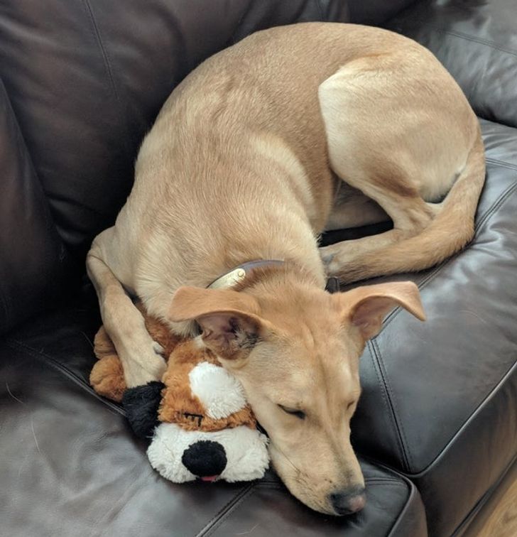 fbe26551f18a5713c453d92384