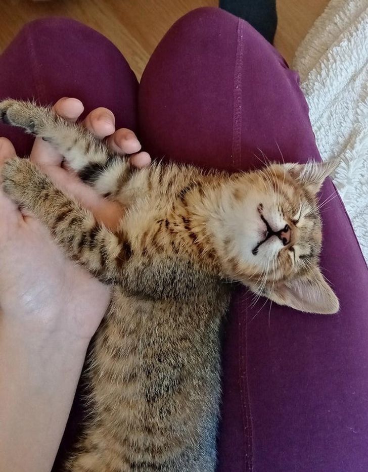 fbe78f577dade26b6429e773fa