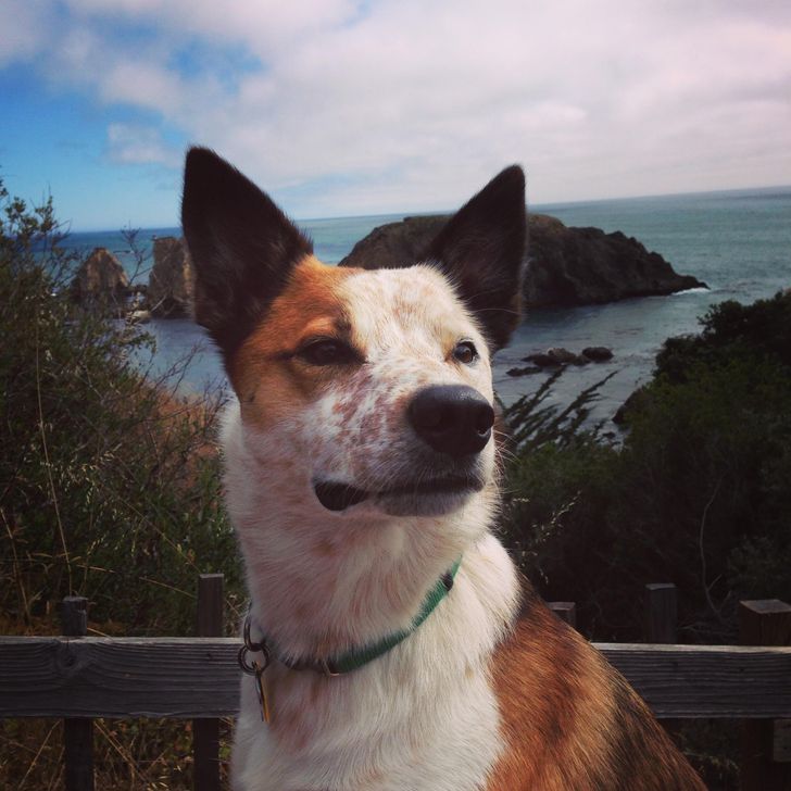 fbf0bf503fbeb9460721695871