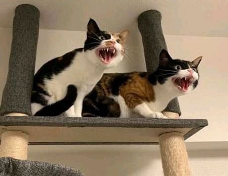 fbf44459a1b59e33254bf35b2a