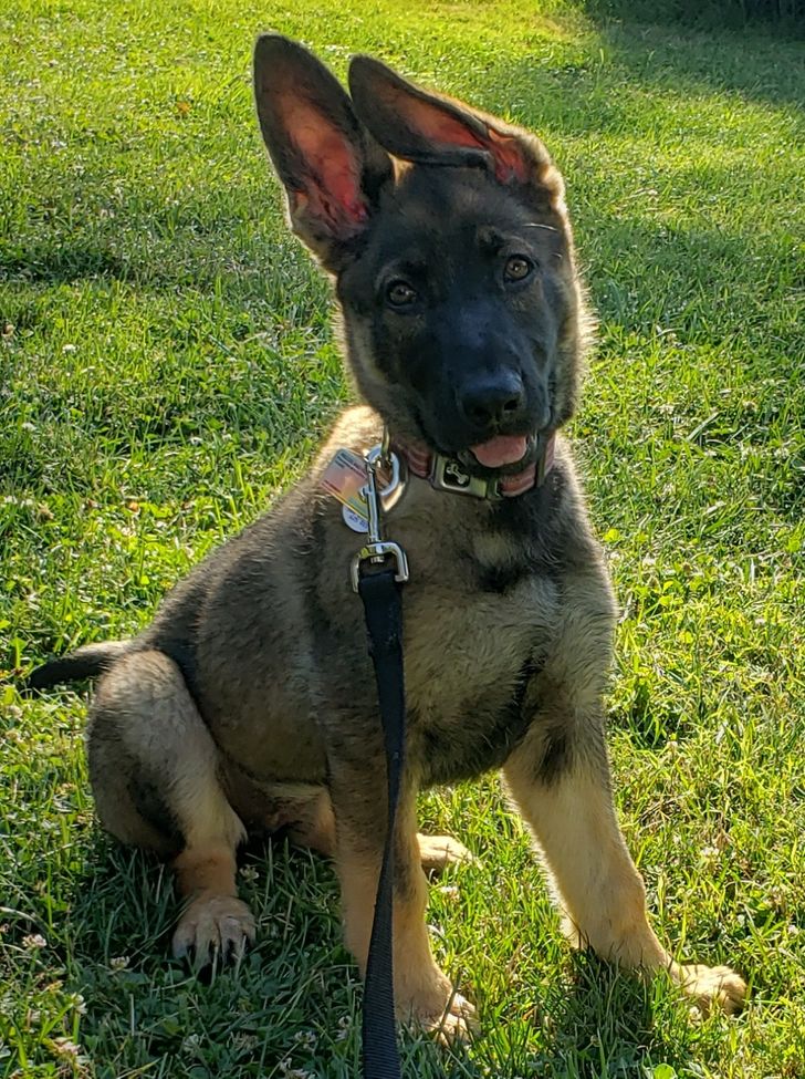 fbf74d5db4bdb4949426432ed1