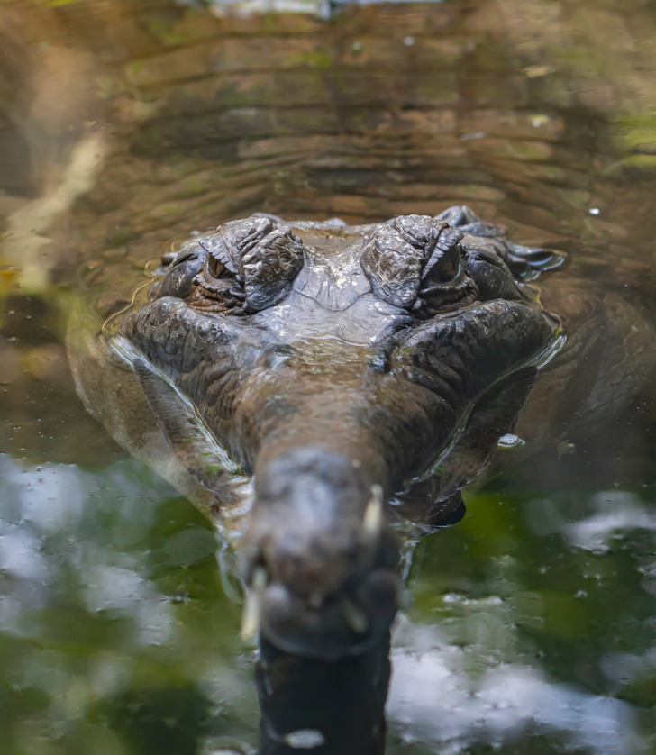 fbfcc85c0688ec8f5672b2ecf6