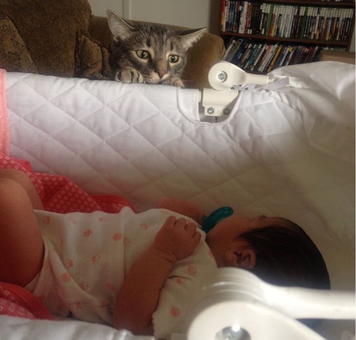 fc0e755a5a996aca3af7ebba6e