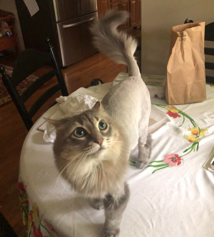 fc111551a0837f61c47538576b