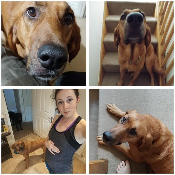 fc16e858efa2c3a1a2e7ee665f