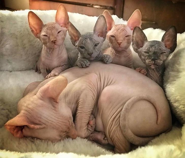 fc1f175a3081f19faccae06ba3