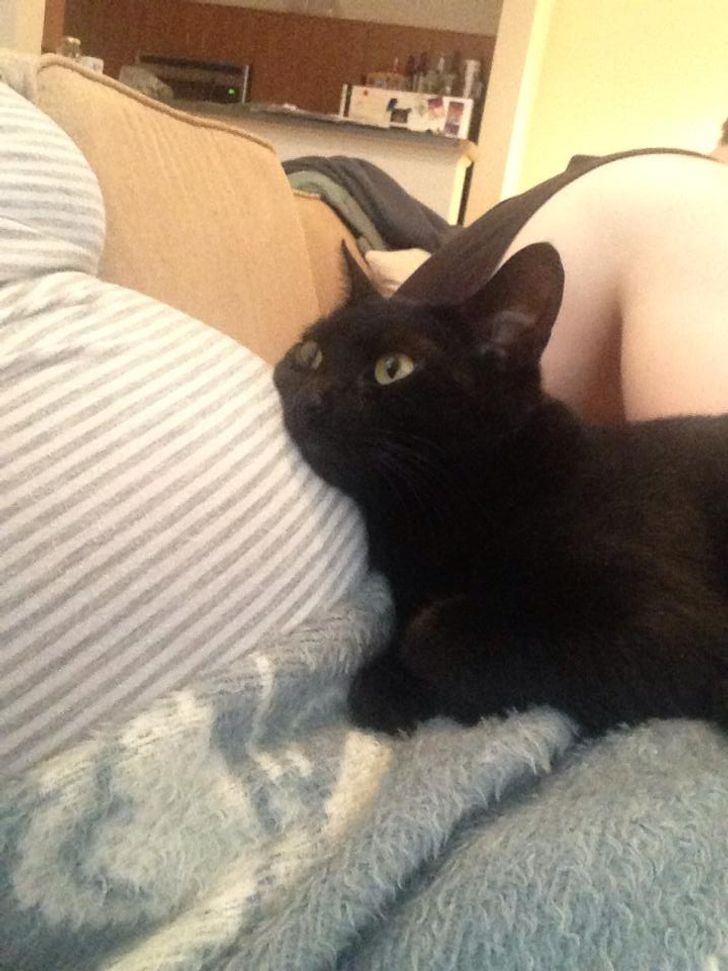 fc21fa5d108078854520db27b6