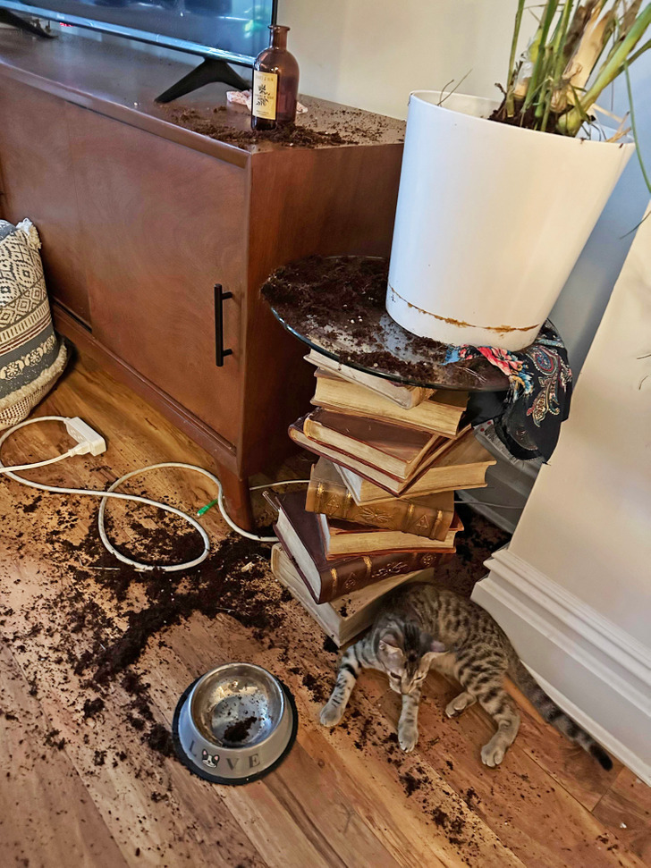 fc22c252aca662b46f2dd5c009