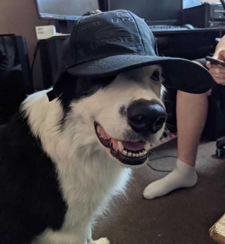 fc28f65e278abcdc83f2434de1