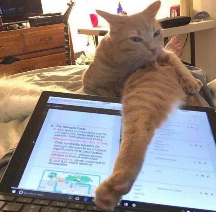 fc29d95e629f1ac19ed5464968