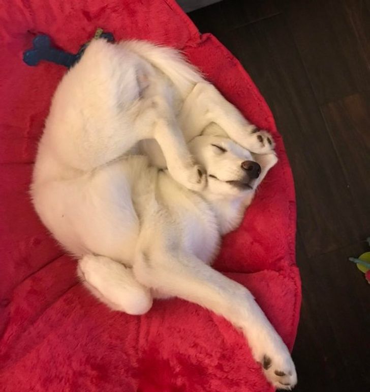 fc2a105ac5b99e58cd5667958b