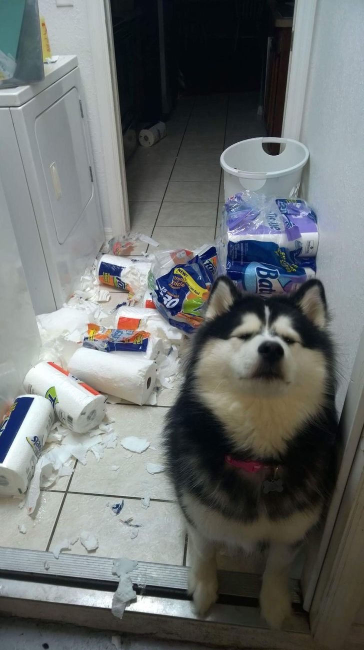 fc2be45b2096a6391269851575