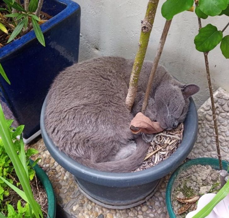 fc2f4a53049b4ad3aea7872773