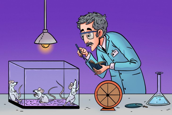 fc3030513c890b75c8f2b7858e