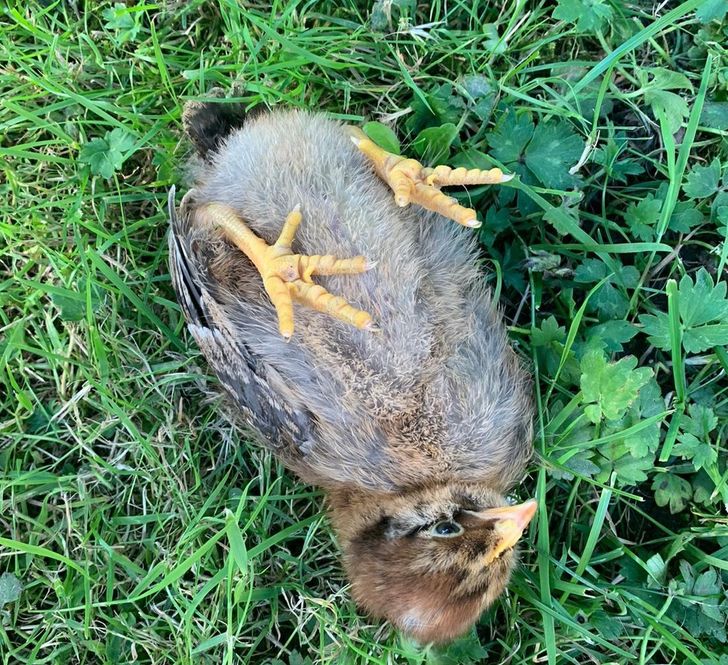 fc314f56a89011a6089af643a4