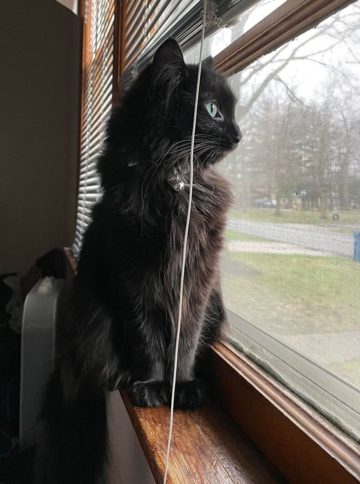 fc3ae1524b8887d8440cc1ae0a