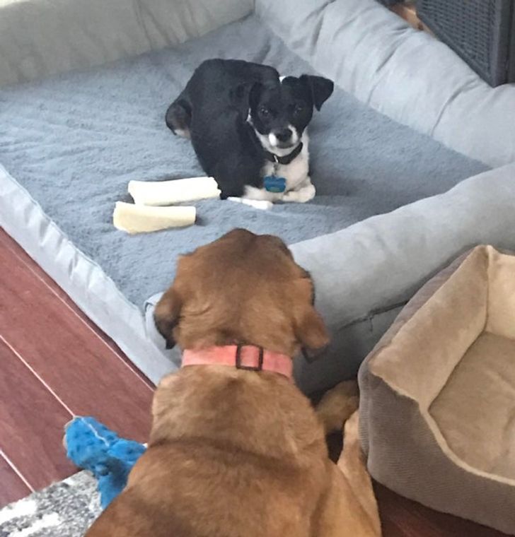 fc4c1252ca94ac3a660cbc0d60