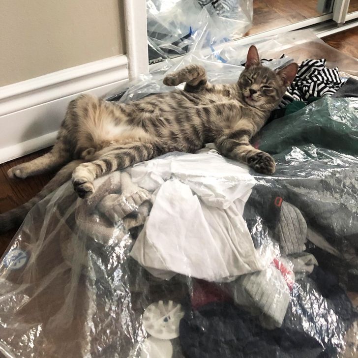 fc4f405862bb65fc76b0352b41