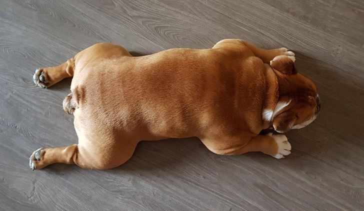 fc51e753c2bb4b7e348d829c8e