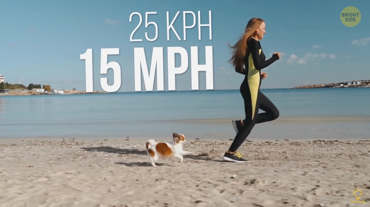 fc53615581a9a7271e56b01b86