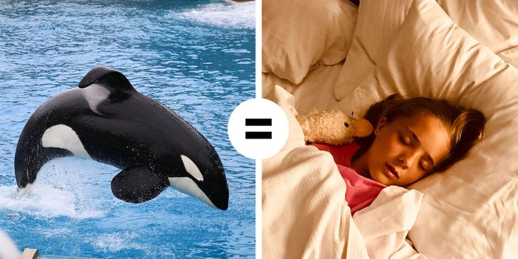 fc5ce4557cbda86f5d19f4d37c