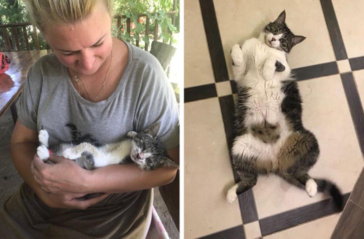 fc6cb0563f9bafdaeb42240af1