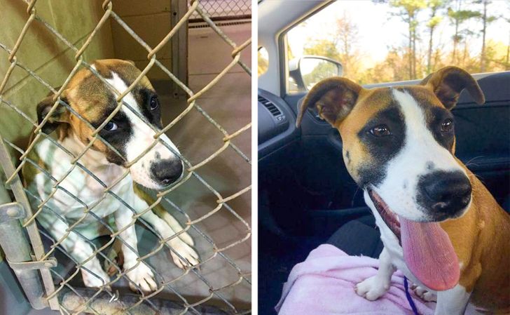 fc70195fc68cbce4401ef6f2b6