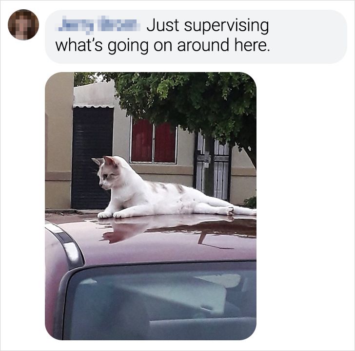 fc71ec57c580f0d059ea449f7b