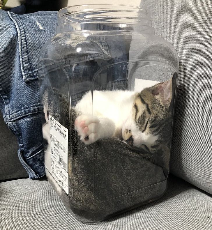 fc7fae5f58965dd363ab80c3c8