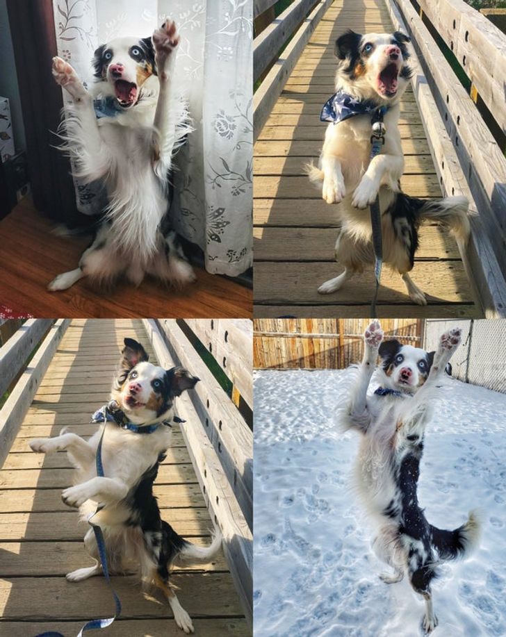 fc84345d5d95c3e941dd884be5