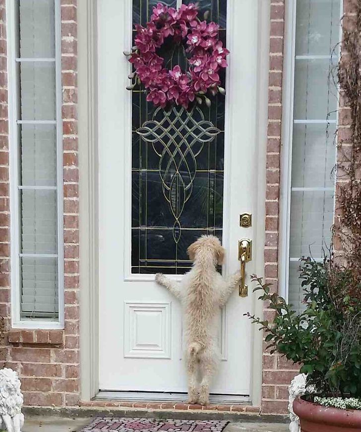 fc877451bea3e3584d01ec3711