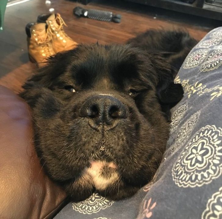 fc91395279924894247ee2d37a