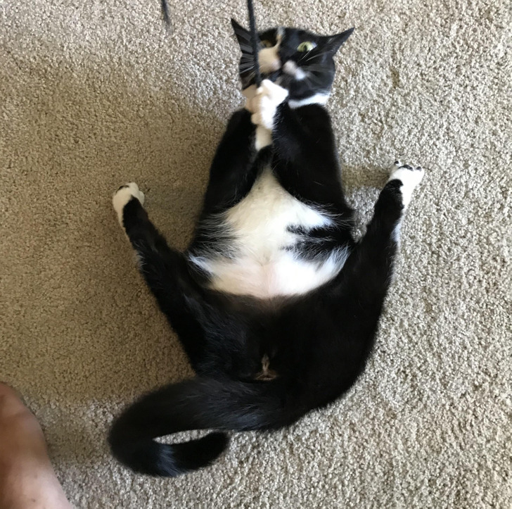 fc92655cb6a2684186354fb7cb