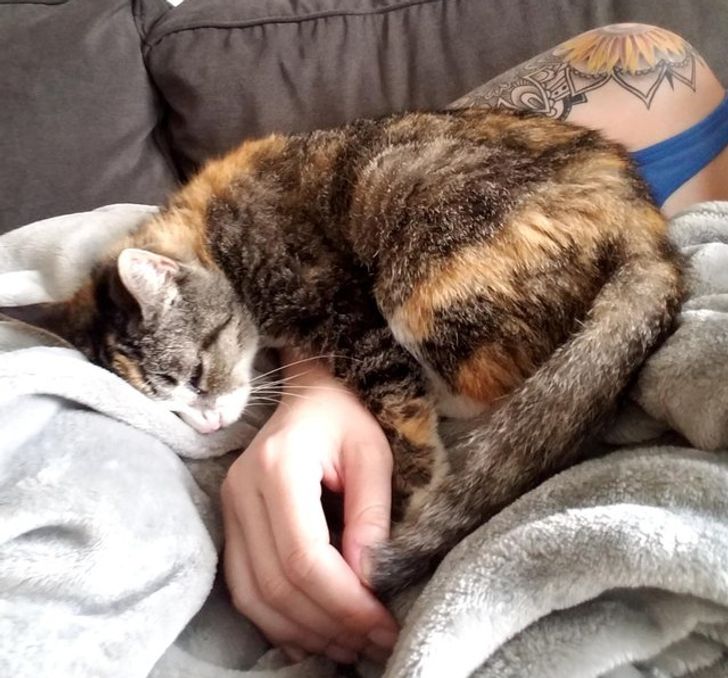 fc96fa5fdebe206e75514d0b76