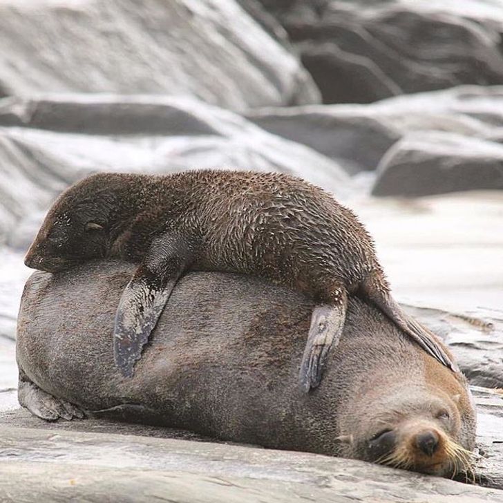 fc9c65520ab11944c98d1e8082