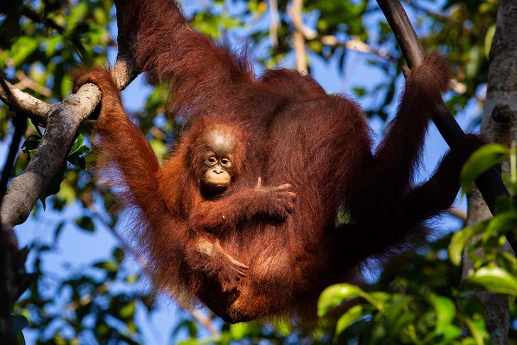 fca1495e29b5d08d2c53ac5d96