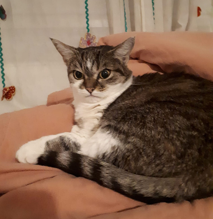 fca99457c888bf21e947703be7