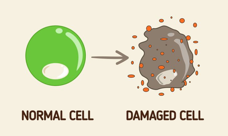 fcaa0759dbb517e56680874666