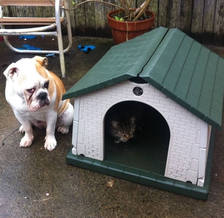 fcac4254f4aa47ba071fac9d4c