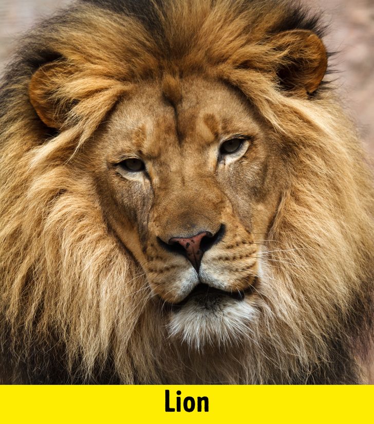 fcad235e8eb96af264731a6bac