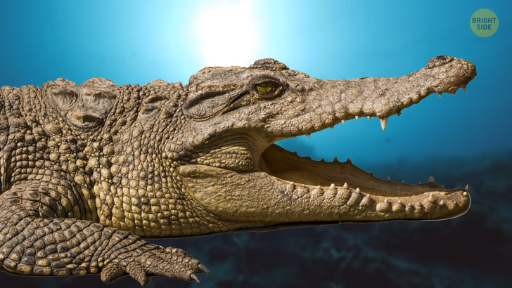 fcaf10542191d0906907685fee fcaf10542191d0906907685fee